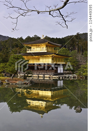 金閣寺（鹿苑寺）舎利殿と鏡湖池 114449395