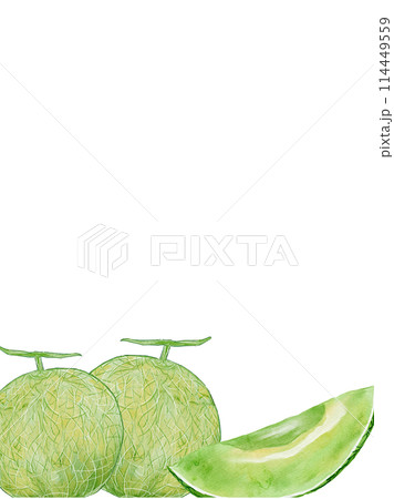 水彩で描いたメロンの縦フレームイラスト素材 114449559