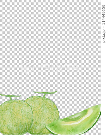 水彩で描いたメロンの縦フレームイラスト素材 114449559