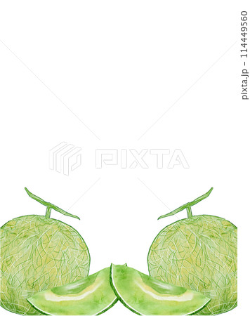 水彩で描いたシンプルなメロンの縦フレームイラスト素材 114449560