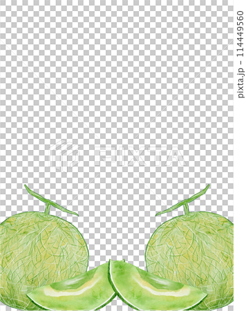 水彩で描いたシンプルなメロンの縦フレームイラスト素材 114449560