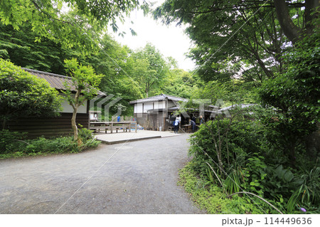 舞岡ふるさと公園の春 114449636