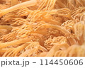 イソギンチャクの触手　横向き 114450606