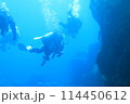 潜水し移動中のダイバー 114450612