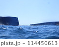 海面 114450613