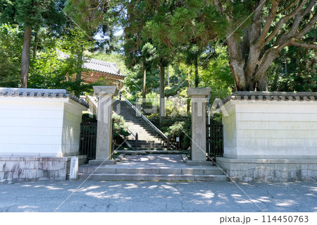 兵庫県神戸市_忉利天上寺2_2023年7月 114450763