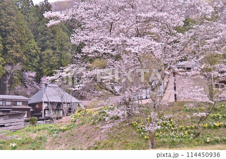 白馬村野平地区の春の風景 白馬村野平地区の春の風景 114450936