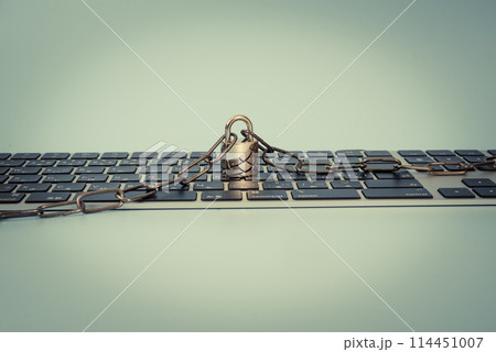 パソコンのセキュリティ パソコンのセキュリティ 114451007