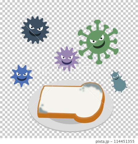 Illustration of moldy bread 114451355
