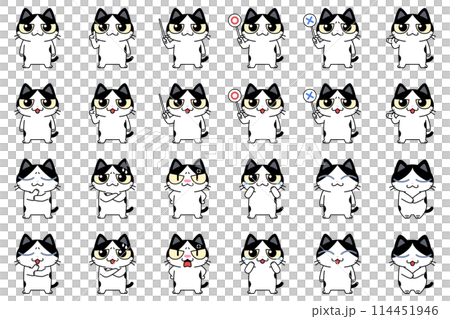 Black and white cat character set 114451946