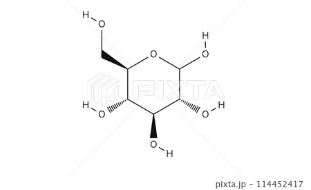 グルコース｜D-Glucose｜糖｜構造 114452417