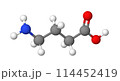 GABA｜アミノ酪酸｜3D構造 114452419