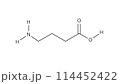 GABA｜アミノ酪酸｜構造 114452422