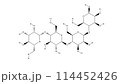 グルコマンナン｜Glucomannan｜構造 114452426