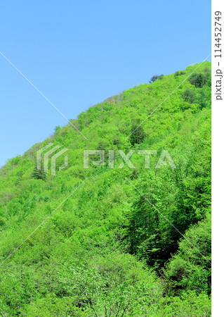 5月の木曽街道 5月の木曽街道 114452749