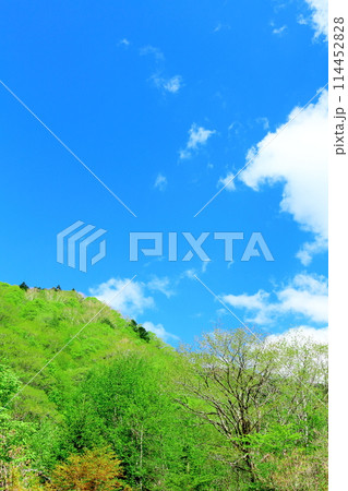 5月の木曽街道 5月の木曽街道 114452828