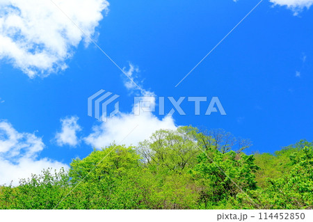 5月の木曽街道 114452850
