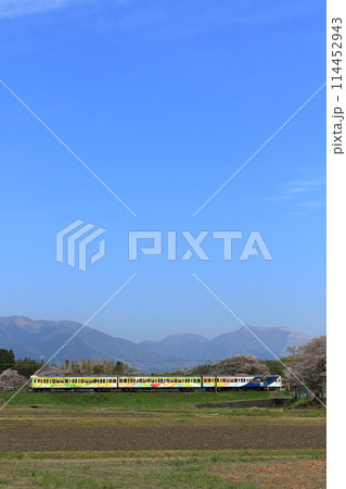 藤原岳をバックに走る春の三岐鉄道三岐線 114452943