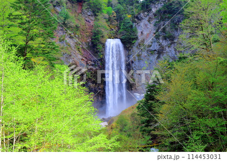 5月の平湯大滝 5月の平湯大滝 114453031