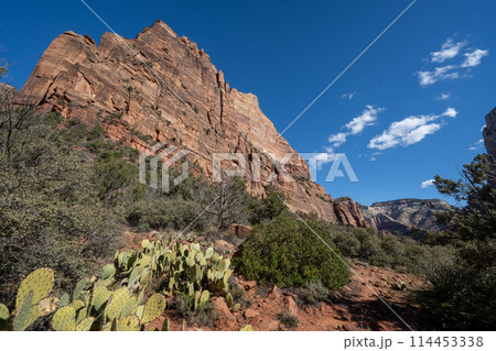 ザイオン国立公園　切り立った崖 114453338