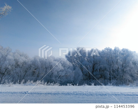 Winter beautiful landscape with trees covered with hoarfrost. 114453396