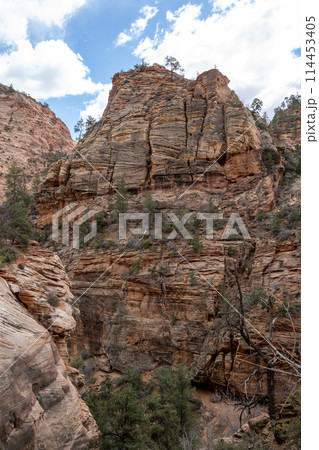 切り立った岩山が連なる 岩の芸術の宝庫　ザイオン国立公園 114453405