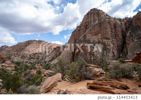 切り立った岩山が連なる 岩の芸術の宝庫 ザイオン国立公園 切り立った岩山が連なる 岩の芸術の宝庫 ザイオン国立公園 114453413