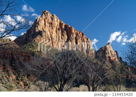 切り立った岩山が連なる 岩の芸術の宝庫 ザイオン国立公園 切り立った岩山が連なる 岩の芸術の宝庫 ザイオン国立公園 114453420