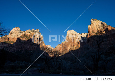朝日を浴びるザイオン渓谷 114453465