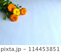 キンモクセイの花の背景素材 114453851
