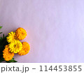 キンモクセイの花の背景素材 114453855