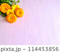 キンモクセイの花の背景素材 114453856