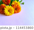 キンモクセイの花の背景素材 114453860