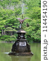 鶴の噴水　雲形池 114454190
