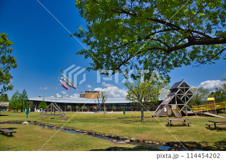 新緑が美しい春の公園 新緑が美しい春の公園 114454202