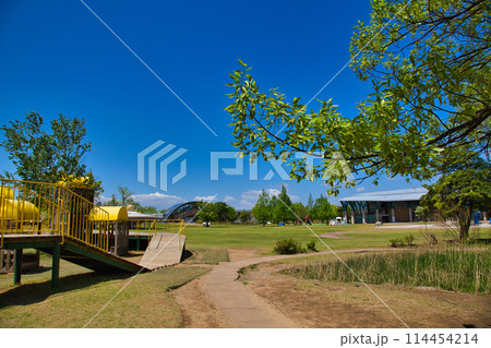 新緑が美しい春の公園 114454214