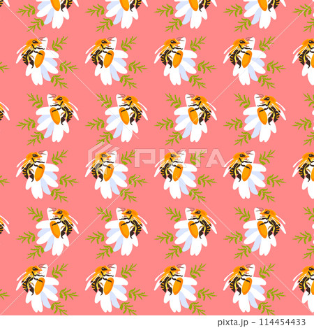 Seamless pattern wildflower daisy bees Garden flower graphic card Red poster banner Spring summer fabric clothing Coral backdrop packaging wallpaper Template textile cover Seamless pattern wildflower daisy bees Garden flower graphic card Red poster banner Spring summer fabric clothing Coral backdrop packaging wallpaper Template textile cover 114454433