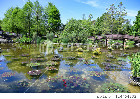 みずの森 みずの森 114454532