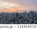 東京タワー　夕焼け 114454538
