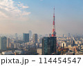 東京タワー　都市風景 114454547