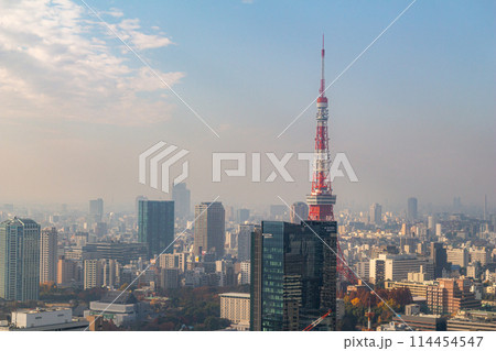 東京タワー 都市風景 東京タワー 都市風景 114454547