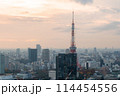 東京タワー　夕焼け 114454556