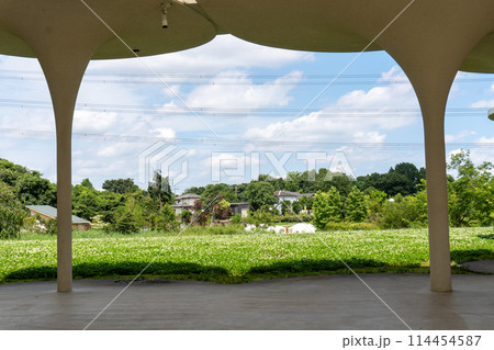 イイナパーク川口(赤山歴史自然公園) イイナパーク川口(赤山歴史自然公園) 114454587