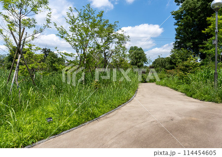 イイナパーク川口(赤山歴史自然公園) イイナパーク川口(赤山歴史自然公園) 114454605