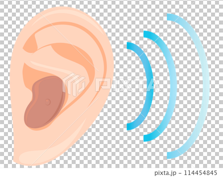 Hearing aid 114454845