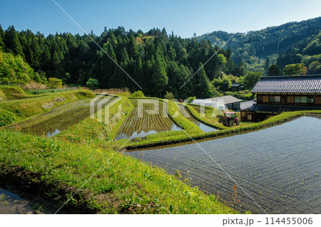 滋賀県高島市の畑地区の初夏の棚田です 114455006
