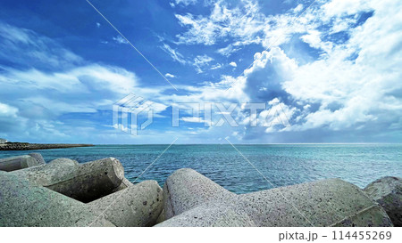 南ぬ浜町緑地公園のきれいな海 石垣島 南ぬ浜町緑地公園のきれいな海 石垣島 114455269