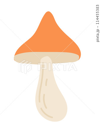 Forest mushroom in flat design. Cute raw autumn fungus with orange cap. Vector illustration isolated. 114455383