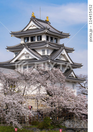 桜に包まれた墨俣一夜城 114455452