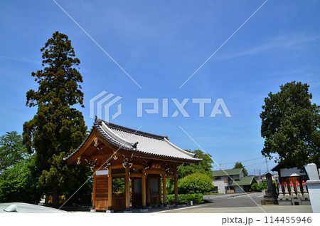 群馬県伊勢崎市曲輪町の同聚院の新しい山門 114455946